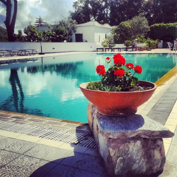 Hotel Al Bosco Forio di Ischia Kültér fotó